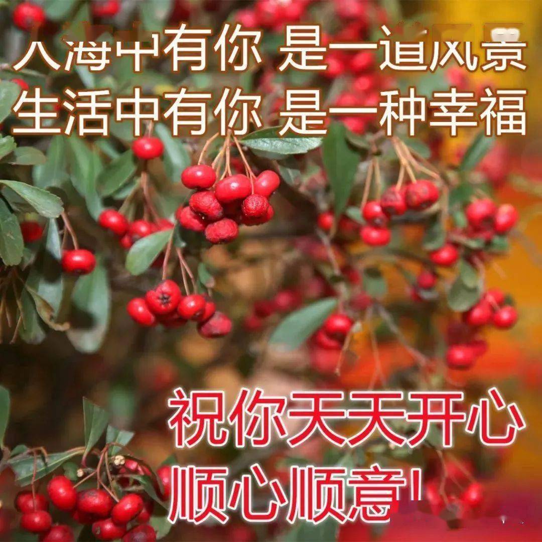 早上问候表情包_中老年问候表情包_问候表情包