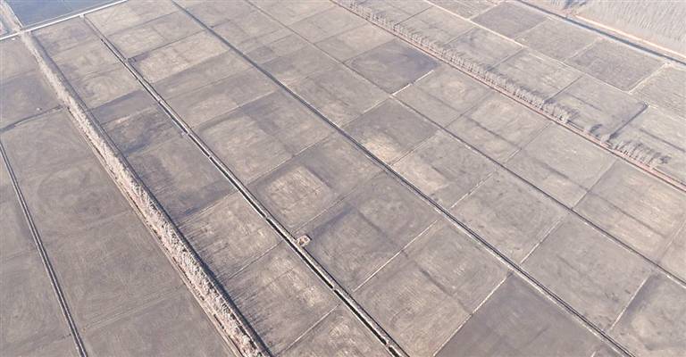 全力推进 高质量建设高标准农田(图1)
