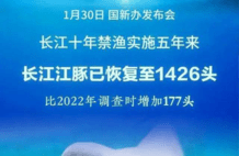 长江5年巨变：江豚已达1426头，禁渔成效显著，大规模鱼群染黑水