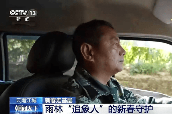 新春走基层丨守护人与象之间的安全线 雨林“追象人”的新愿景