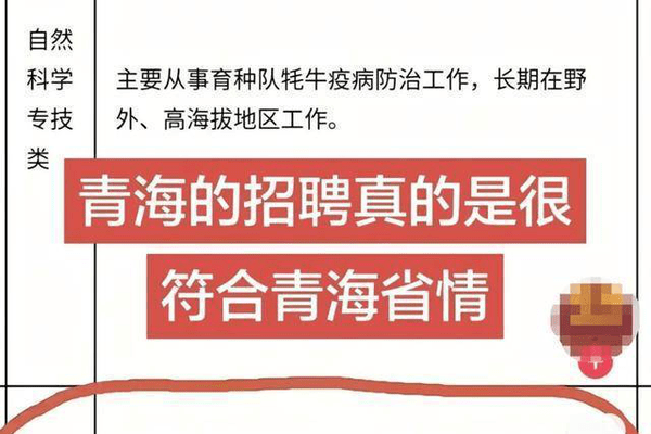 青海一事业编岗位招聘要求能独立抓捕野牦牛？当地回应