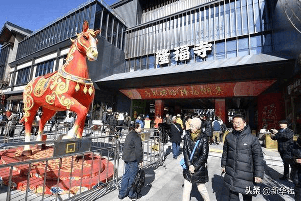 贺新春！“马”不停蹄竞出游