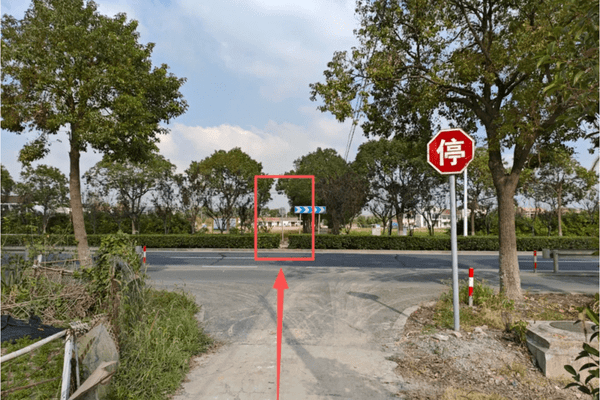 智力残疾人独自横穿快速路被撞身亡，家属向司机、绿化带养护公司等索赔150万，法院驳回诉求