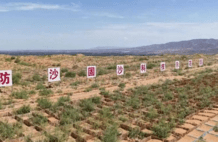 中国历经59年研究，找到利用远古微生物将沙地转化为土壤的方法