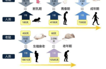 随神二十返回的航天鼠又生了：繁殖量比地面更多，下一次飞30天？