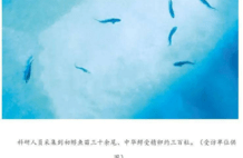 等待近10年，长江鱼王宜昌胭脂坝野外“生娃”，这有多么不容易？
