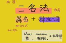 我发现了新细菌，可以命名为薛之谦菌吗？