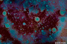 微生物或可借陨石碎片在行星间存活传播