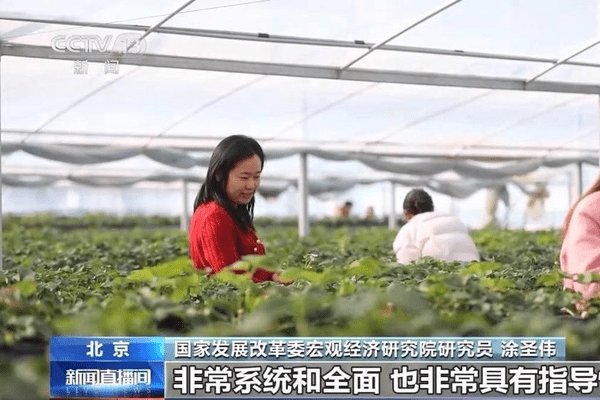 视频丨“十五五”“三农”新目标：主动应变 稳中求进