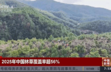 中国让地球更绿：自己新目标25.8%，植树造林背后影响多大？
