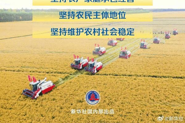 经党中央、国务院同意，中办、国办对做好第二轮土地承包到期后再延长30年试点工作提出意见
