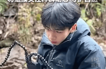高中生发表新物种被网暴，真的是少爷镀金么？