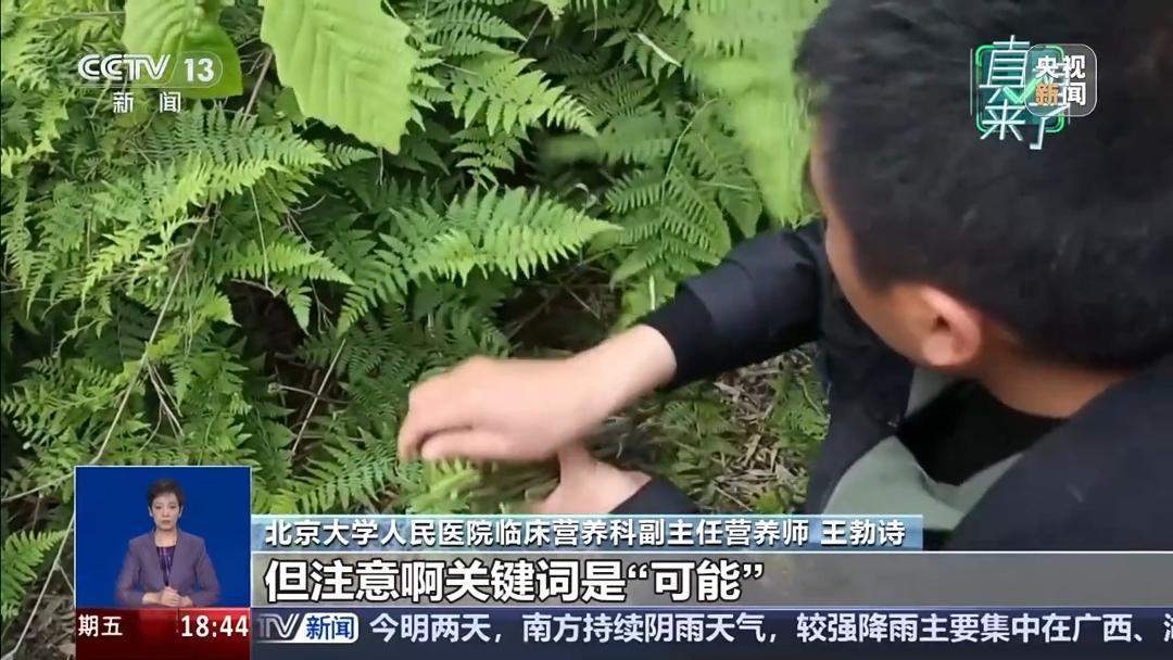 娃娃菜、西葫芦、鲜木耳等蔬菜致癌？隔夜菜、腌制菜真的要少吃