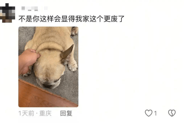 广州一只小狗靠捡瓶子攒了10万元，主人：这是它的爱好，网友：真“旺财”