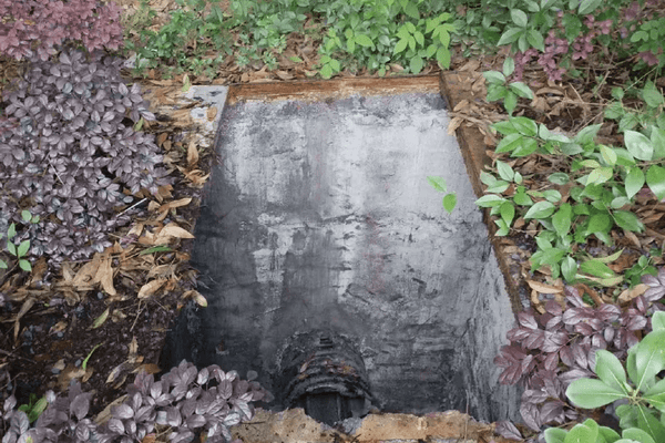 浙江一小区保洁员不慎坠入5米污水池，消防员到场发现：池里竟还有一个人