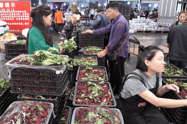 “药水杨梅”事件引发全网关注，记者实地走访贵阳水果批发市场，监管部门：未发现不合格杨梅在售