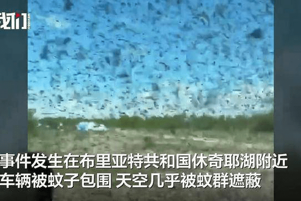 俄罗斯一著名景点遭蚊群“围攻”：密密麻麻几乎遮蔽天空，游客被困车内