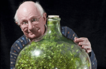 上世纪有人将一棵草种在密封玻璃瓶中，54年过去了，植物还在生长