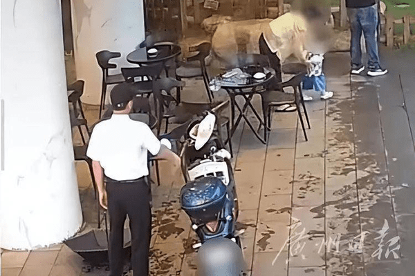 顺德渔村公布监控回应“保安驱赶避雨宝妈”争议，视频显示保安当时系提醒宝妈挪车并未驱赶
