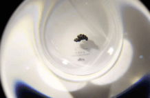 显微镜下的月球尘埃，长满了极致锋利的棱角，它到底有多可怕？