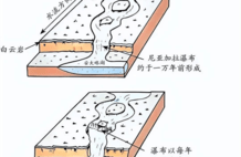 真的想问：淡水鱼被冲入大海后去哪了？还能活吗？