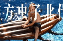 太热了，南方大虫子，正在大规模北伐 | 地球知识局
