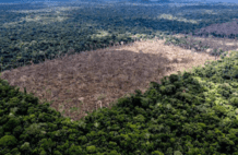 每10年升高0.31℃，我国植树造林为何还变热？2026年高温更强吗？