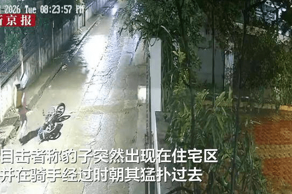 印度一外卖骑手夜间遭豹子飞扑，惊险瞬间曝光