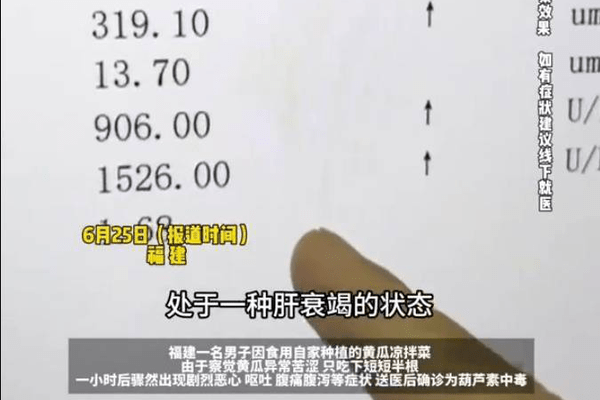 比砒霜还毒！一盘菜致男子肝衰竭，医生建议：出现这种情况不要吃，直接扔掉
