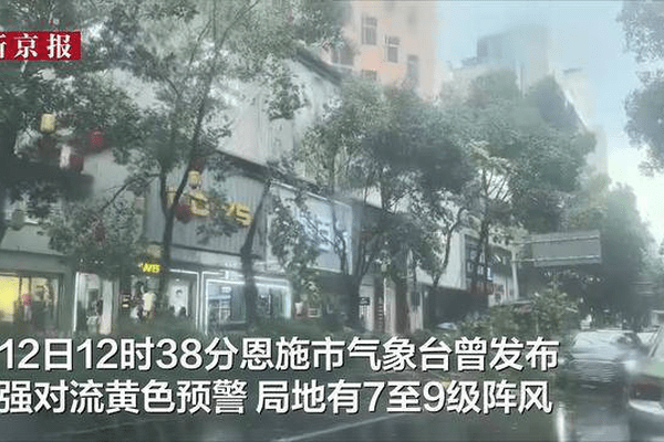 湖北恩施强对流天气现场画面：暴雨呈水柱状铺天盖地倾泻，行道树被大风刮断
