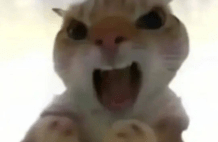 张益唐啃了多年的雅可比猜想，这回让Fable 5给推翻了......