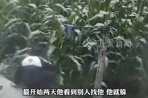 11岁男孩负气离家，跳进玉米地后消失，目前已被找到：独自躲在空置民房
