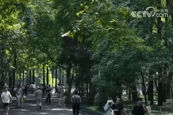 夏日“凉资源”变身消费“热产业” 全天候多业态避暑新体验成文旅“新宠”
