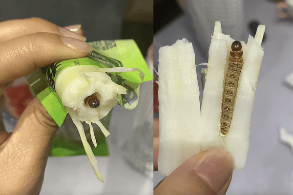 网友称在笋干里吃出一只完整的竹虫，厂家：竹笋原生态难避免，已与消费者协商