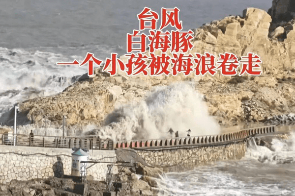 9岁男孩被巨浪卷走，台风天已设好围栏，一家四口翻入时保安曾喊话劝阻，最新回应