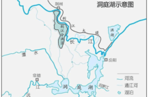 近20年首次出现800亩荇菜群落，长江十年禁渔：不仅是鱼的增长