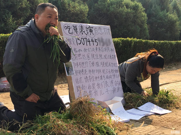 11月5日，河北三河市爱民路出现了心酸一幕，一男一女跪在地上，两人中间一张白纸上写着：“吃草表演，自愿打赏，我们夫妻来自湖南，孩子目前燕达医院治病，已进行了移植，可出现了肺部感染，肺部排异，现无钱继续治病，请各位伸出援手救救9岁儿子”，白纸上同时还粘贴着2张小男孩在医院治疗的照片，一个小纸盒里装着几张面额不等的纸币，地上摆着很多住院资料和杂草，男子和女子则大把大把的把草往嘴里塞，使劲嚼烂，硬吞下去。