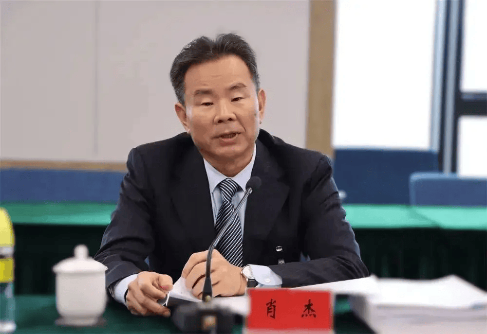 打虎！肖杰被查
