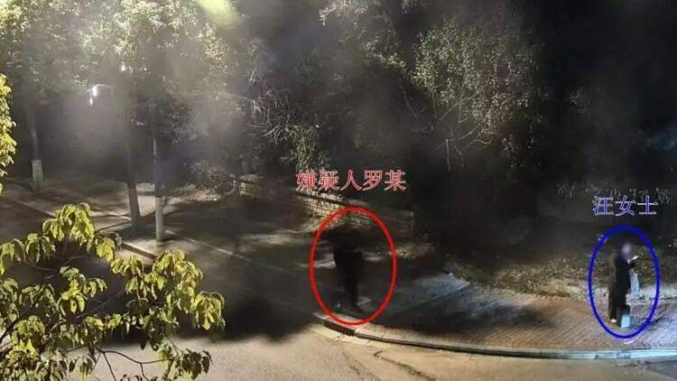 上海六旬阿姨K歌软件谈网恋，约线下见面，来的竟是不满14岁少年……警方披露