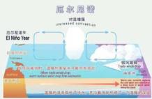 气候已经不可逆转？“最热年份”不断真实延续，地球系统都在崩塌