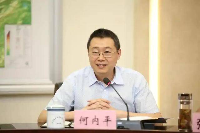 搞团团伙伙、拉帮结派，“老公安”何内平被开除党籍