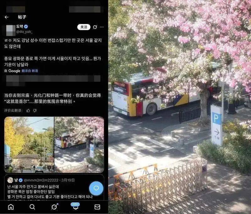 广州街拍被韩国网友盗图并配文“这就是首尔”，当事人：让海外网友看到广州的浪漫与温柔