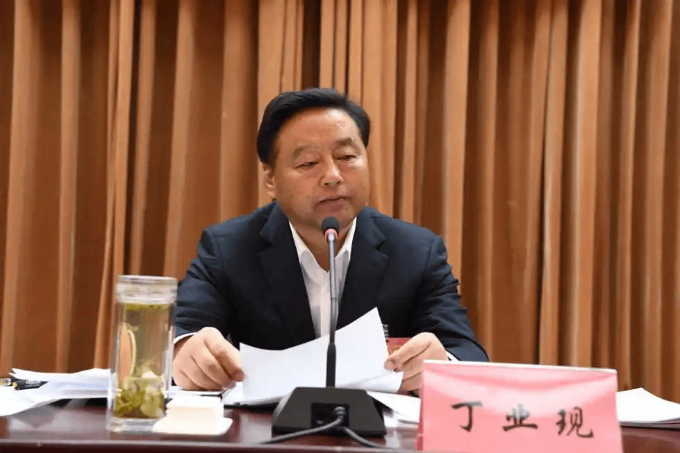 打虎！丁业现被查