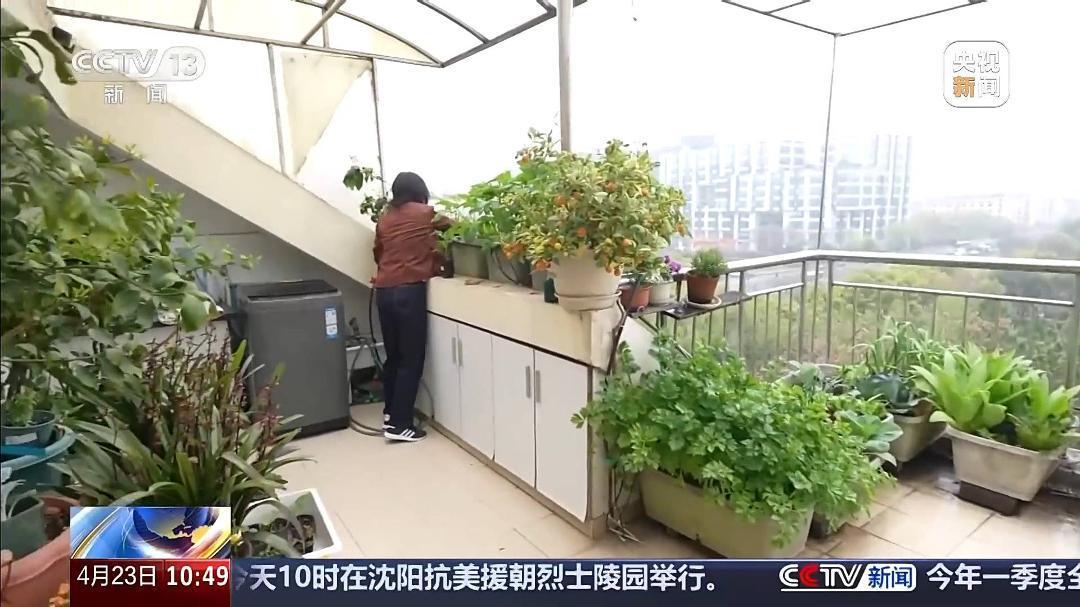 视频丨智能园艺赋能家庭种植 阳台种菜催生现代农业新赛道