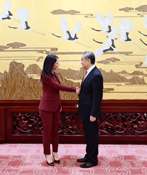 王毅：面对强权霸凌，要守护公道正义，不能任由谁拳头硬谁说了算