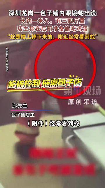 深圳一居民区现1.8米长剧毒眼镜蛇，当时正在包子铺后厨准备偷吃鸡蛋，店主：蛇是楼上掉下来的，附近经常看到蛇