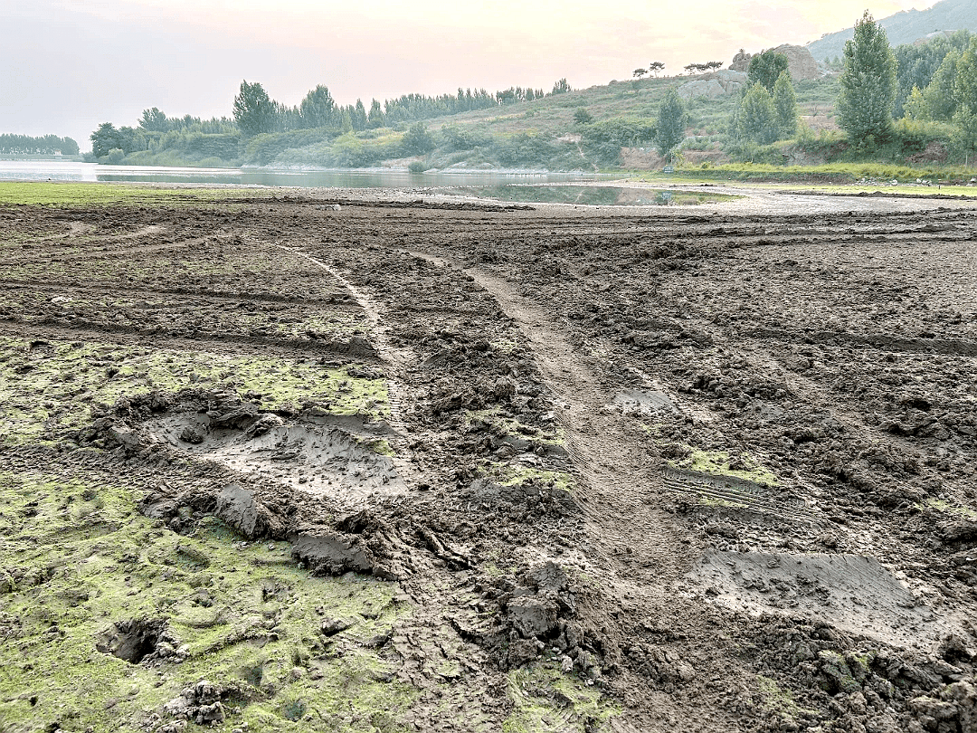 网红打卡地“青岛阿勒泰”遭越野车组队碾轧破坏？活动组织方：正开展恢复工作