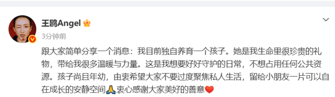 演员王鸥承认独自养育一个女儿：孩子尚年幼，希望不要聚焦私生活