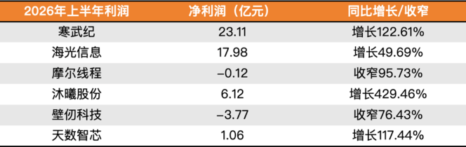 国产AI芯片上半年营收暴涨，为何多数厂商经营性现金流恶化
