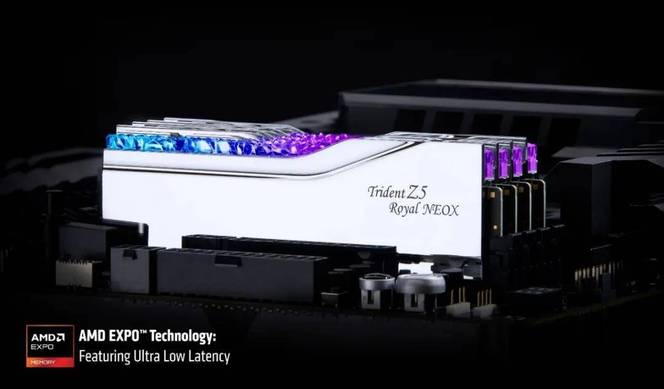 支持EXPO ULL延迟优化技术！芝奇Trident Z5 Royal NeoX 皇家戟X内存